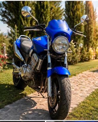 Hornet 900
