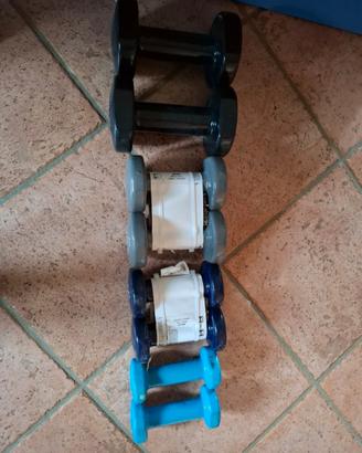 pesi da 5, 3, 2, 1,5