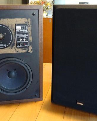 Casse acustiche ESB XL3
