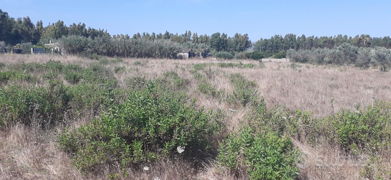 Terreno agricolo - Vista 2