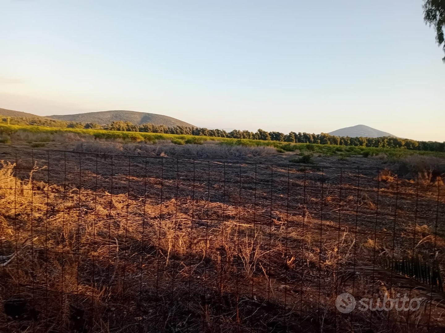Alghero :terreno agricolo - Vista 2
