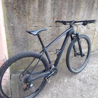 Specialized stumpjumper comp 