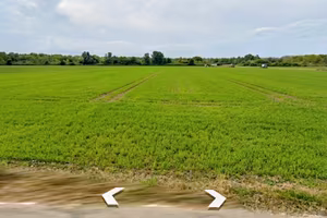 Terreno Edificabile-Agricolo