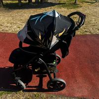 Passeggino lionello