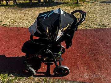 Passeggino lionello