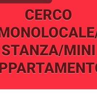 C.e.r.c.o monolocale