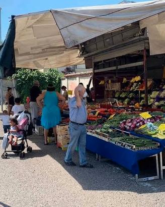 LICENZA ALIMENTARE TRECATE 
