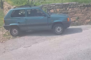 Panda 4x4