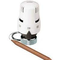 Testina termostatica con sonda Caleffi 203702