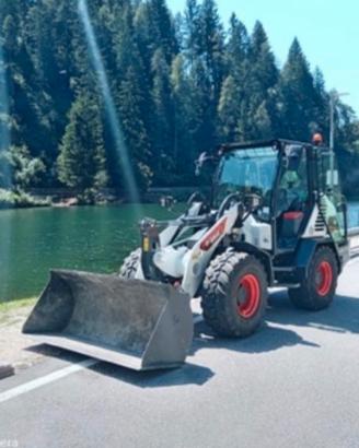 Pala gommata Bobcat L85