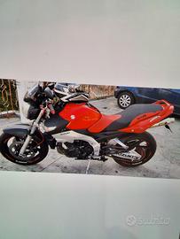 Suzuki gsr tenuta da eccellenza 