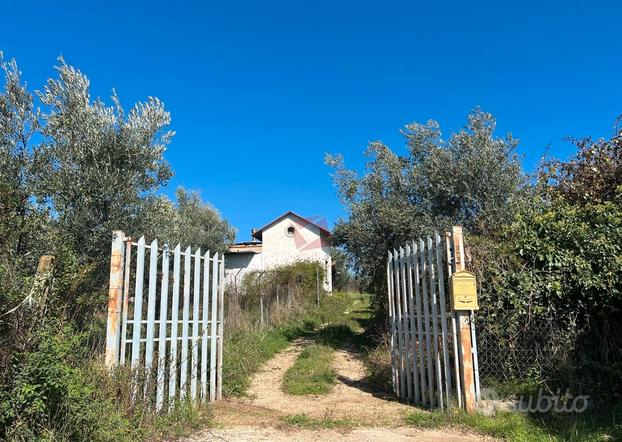 Casa indipendente immersa nel verde - loc. poli