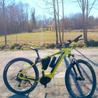 E bike