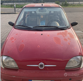Fiat seicento (2010) prezzo stracciato