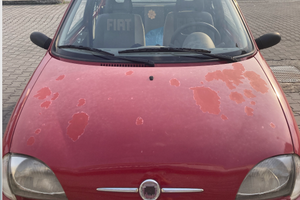 Fiat seicento (2010) prezzo stracciato