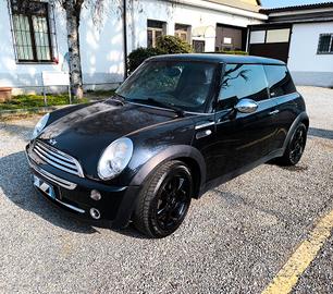 Mini Park Lane Full Optional Pelle