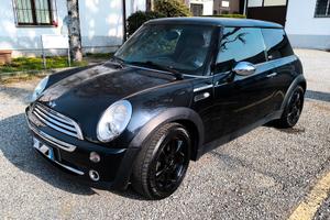 Mini Park Lane Full Optional Pelle