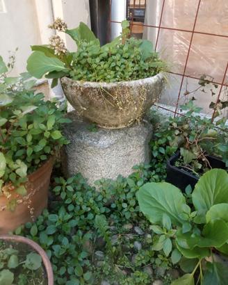 Vaso in graniglia