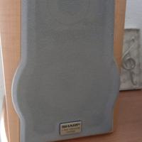 n.2 Casse in legno Sharp