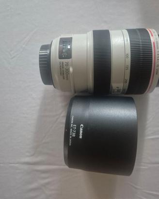 Obiettivo EF70-300mm f/4-5.6L IS USM