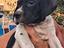 Immagine 6