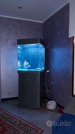 Acquario con mobile