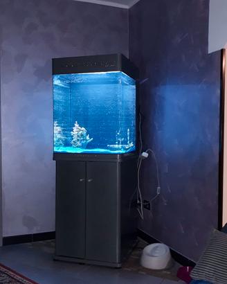 Acquario con mobile