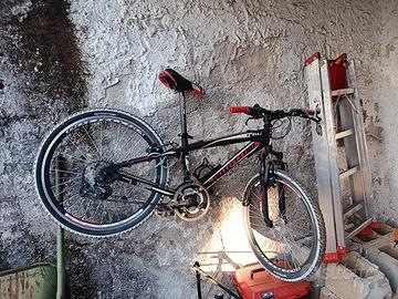 Mountain bike 