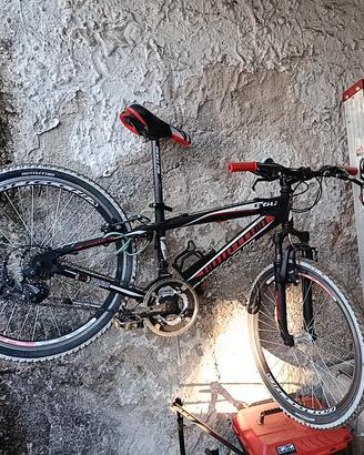 Mountain bike 