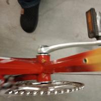 bicicletta da corsa colnago