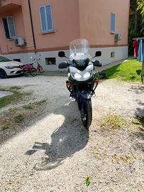 Suzuki w strom 650