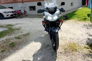 Suzuki w strom 650
