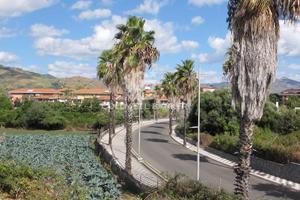 Terreno industriale/commerciale - Fiumefreddo d...