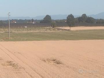 Terreno agricolo Fossano Santa Lucia