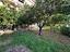 Immagine 25