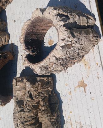 cortecce di sughero