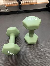 Coppia manubri Palestra 10 kg