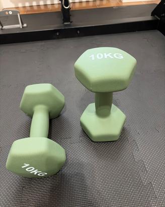 Coppia manubri Palestra 10 kg