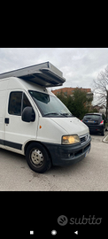 Ducato