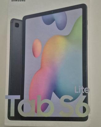Samsung Tab S6 Lite