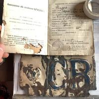 Libretto vespa faro basso struzzo