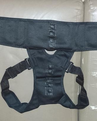 correttore posturale 