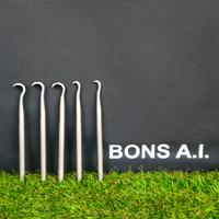 set di sgorbie per bonsai spedisco 