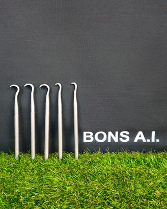 set di sgorbie per bonsai spedisco 
