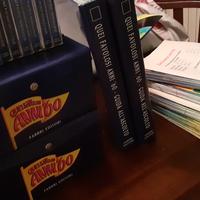 Raccolta musicassette 