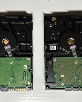 Hard disk 3.5" da 1 Terabyte (1000Gb) per PC e Dvr