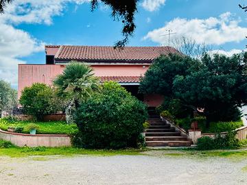 S.V. Li Curuneddi Indipendente con terreno