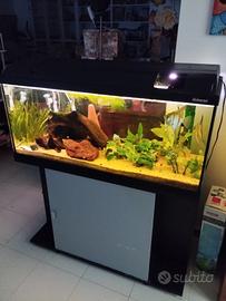 Acquario Askoll Ambiente litri 200.