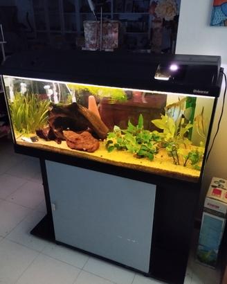 Acquario Askoll Ambiente litri 200.