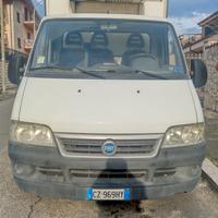Fiat ducato isotermico